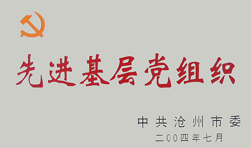2004年度滄州市先進(jìn)基層黨組織