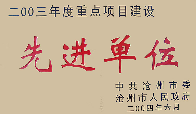 2003年度重點(diǎn)項(xiàng)目建設(shè)先進(jìn)單位