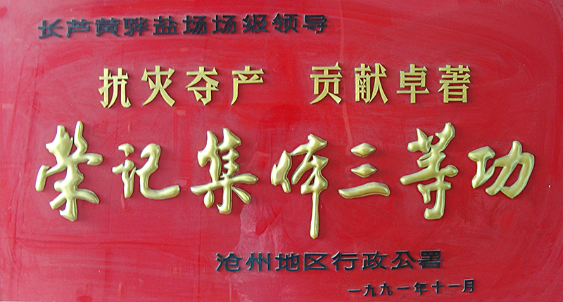 抗災(zāi)奪產(chǎn)集體三等功