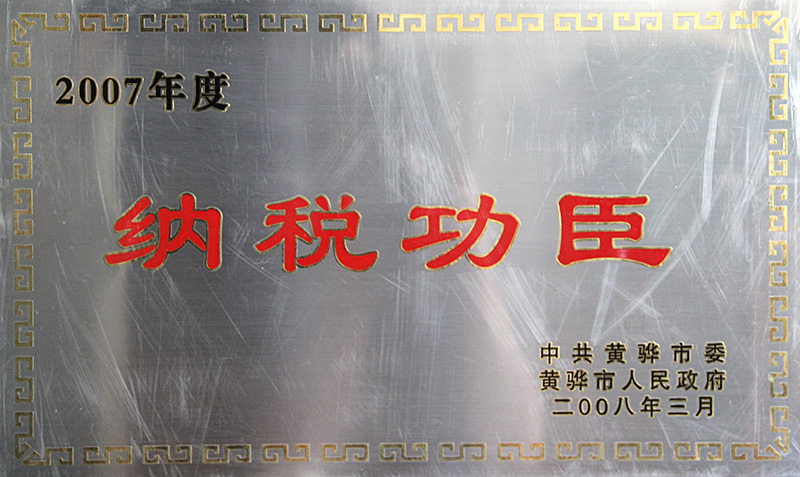 2007年度納稅功臣