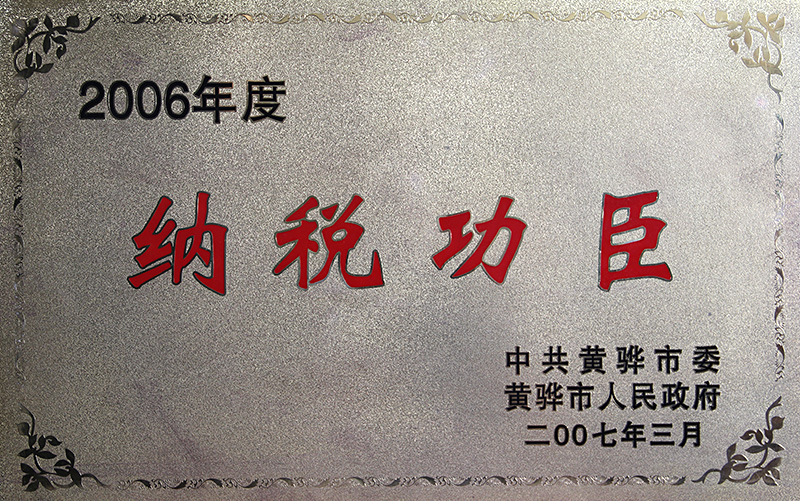2006年度納稅功臣