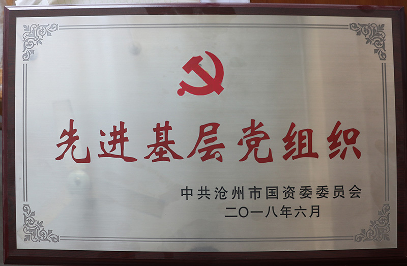 2018年滄州國(guó)資委先進(jìn)基層黨組織